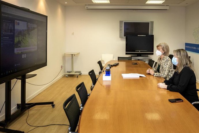 La Consejera De Educación Y Formación Profesional, Marina Lombó, Inaugura, De Forma Telemática, La Jornada Organizada Con Motivo Del Día De Internet Segura