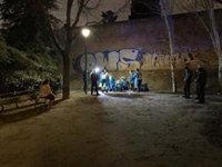 Las Fuerzas de Seguridad registran 600 bandas juveniles en España y 117 detenidos, con 400 pandilleros activos en Madrid