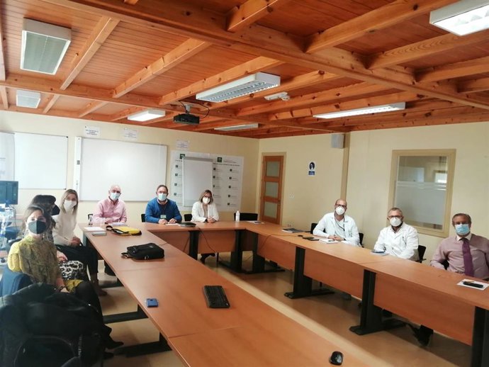 Reunión de la Unidad de Oftalmología del Hospital Punta de Europa.