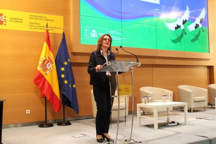 La vicepresidenta tercera del Gobierno y ministra para la Transición Ecológica y el Reto Demográfic, Teresa Ribera.