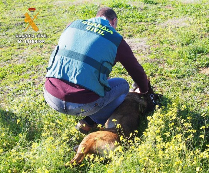 Agente de la Guardia Civil del Seprona.