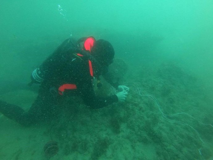 La Unidad de Buceo de Cádiz de la Armada neutraliza un proyectil de 300 milímetros de calibre en Melilla.