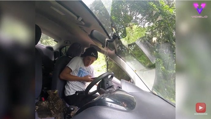 Un águila se coló en el coche de un turista en Filipinas