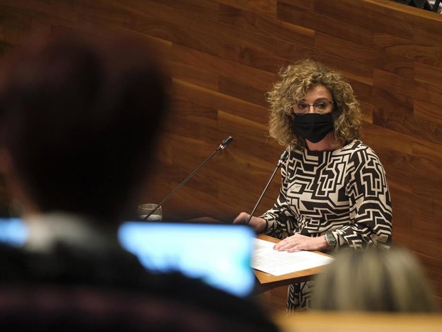 La portavoz de Ciudadanos en la Junta General, Susana Fernández.