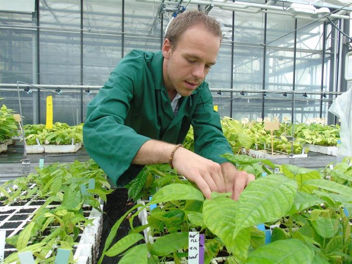 Nestlé crea un centro de investigación para ganar experiencia en ciencias agrícolas