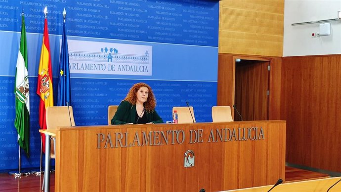 La portavoz adjunta del Grupo Socialista Araceli Maese, en rueda de prensa en el Parlamento.