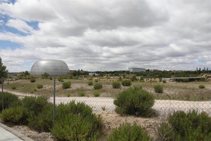 Archivo - Imagen de recurso de terrenos en Valdebebas, próximos a la Ciudad de la Justicia.
