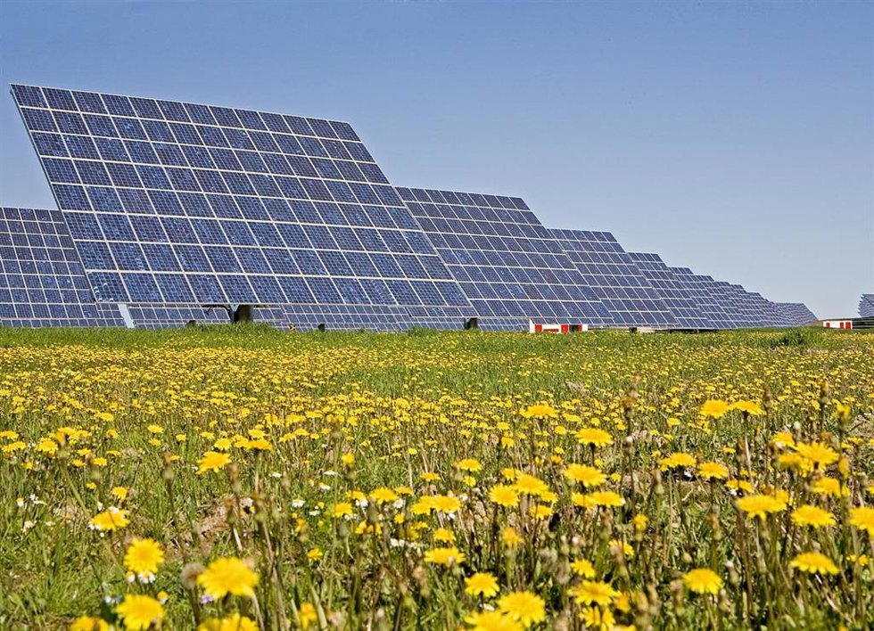 Archivo - Planta fotovoltaica en Estados Unidos