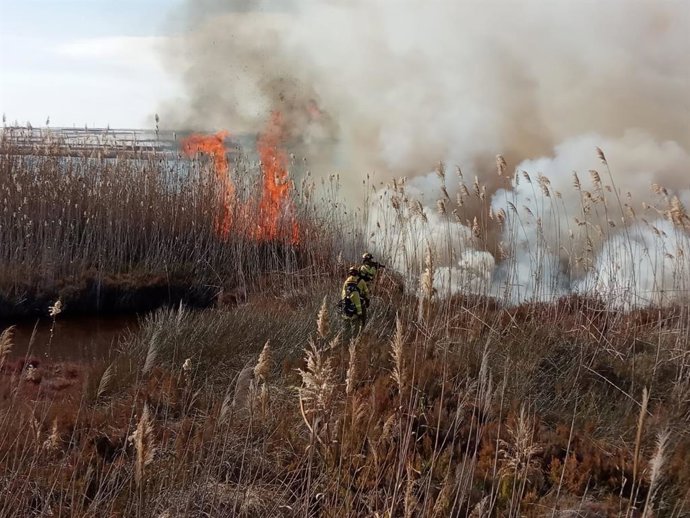 Incendio en el acceso al paraje Punta Entinas-Sabinar en Roquetas de Mar (Almería).