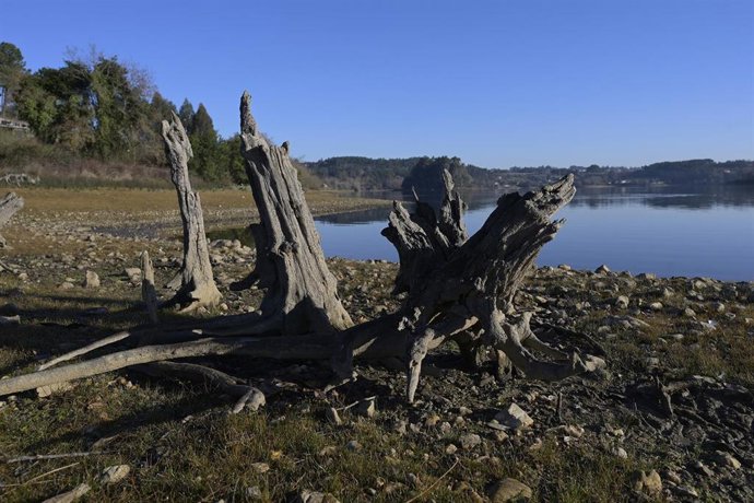 Varios troncos de árboles en la orilla del embalse de Abegondo-Cecebre, a 9 de febrero de 2022, en Cambre, A Coruña, Galicia (España). El embalse de Abegondo-Cecebre tiene un índice actual de ocupación del 58,75 % cuando el máximo permitido en invierno 
