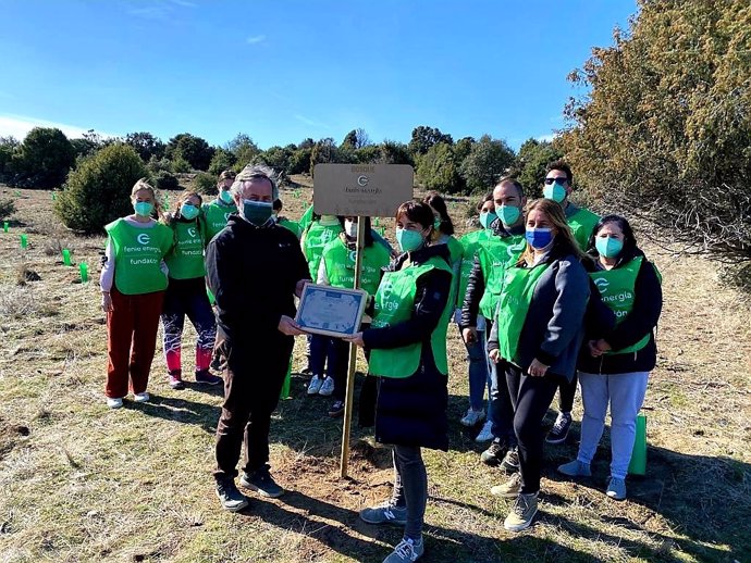 Voluntarios de la comercializadora Feníe Energía plantan 190 árboles, uno por trabajador, en Hoyo de Manzanares