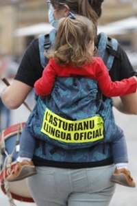 Un informe recomienda un periodo transitorio para la implantación de la oficialidad de cinco años