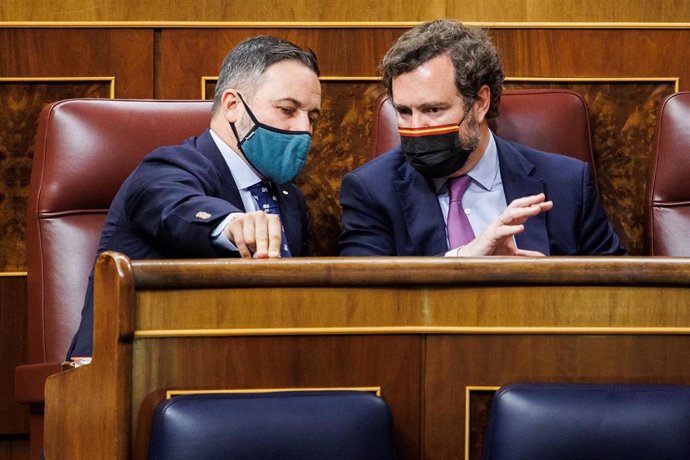 El portavoz de Vox en el Congreso, Iván Espinosa de los Monteros (d), y el presidente de Vox, Santiago Abascal (i), conversan en una sesión plenaria, en el Congreso