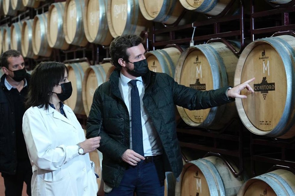 El presidente del PP, Pablo Casado, visita una bodega en Toro (Zamora) en el marco de la campaña electoral de las elecciones de Castilla y León.