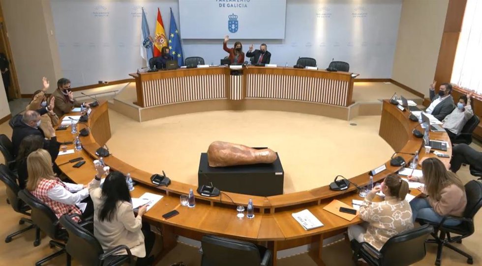 Votación en la que la Cámara pide al Gobierno que concrete la planificación para adaptar el ancho de la vía al AVE entre Santiago y Ourense