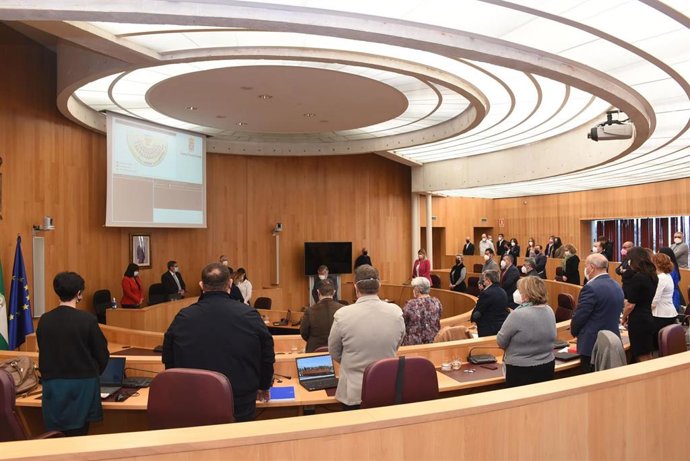 Pleno de la Diputación de Granada.