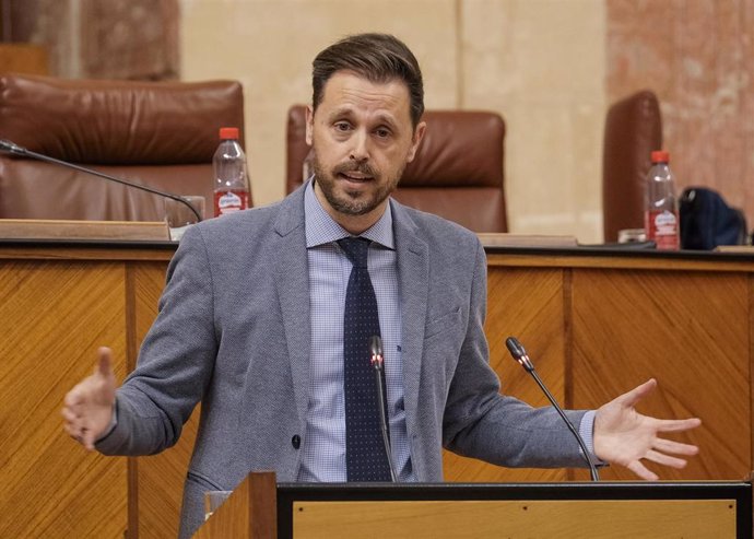 El parlamentario del PSOE-A Juan José Martín Arcos interviene en el Pleno del Parlamento andaluz.