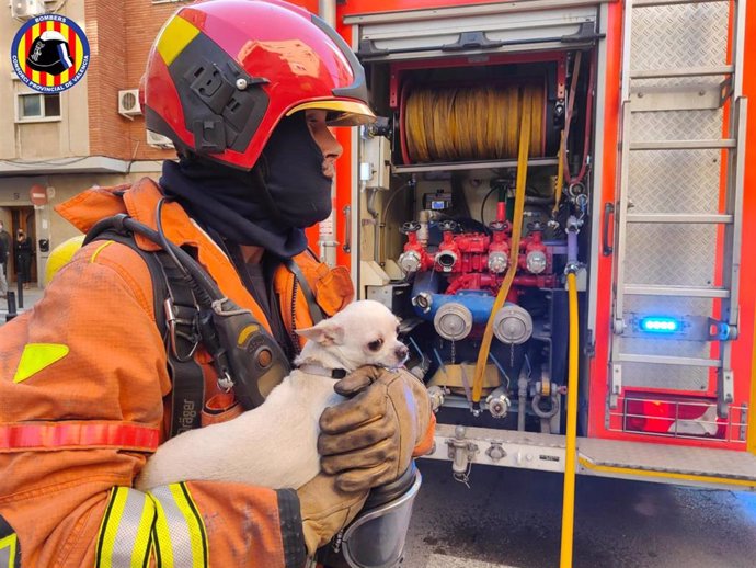 Bombero rescata a un perro de un incendio en una vivienda de Catarroja
