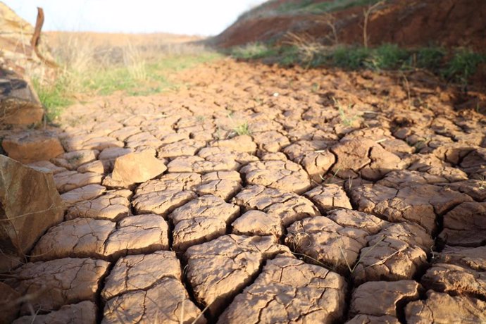 Evidencias de sequía en el Embalse de La Vega del Jabalón, a 10 de febrero de 2022, en Calzada de Calatrava, Ciudad Real, Castilla-La Mancha (España). El de La Vega del Jabalón es uno de los cinco embalses de la cuenca del Guadiana que encuentran en sit