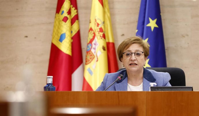 La viceconsejera de Servicios y Prestaciones Sociales, Guadalupe Martín, en comisión parlamentaria