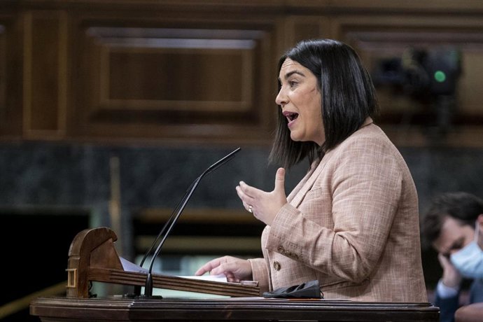 La diputada de Ciudadanos, María Carmen Martínez Granados, interviene en una sesión plenaria extraordinaria en el Congreso de los Diputados, a 25 de enero de 2022, en Madrid (España).