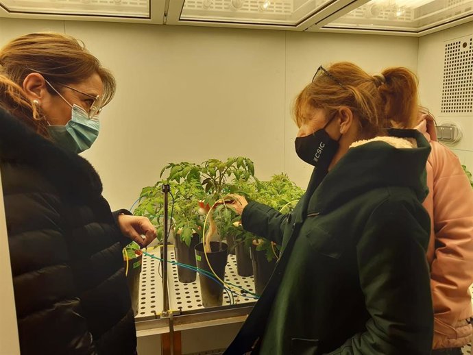 Rosa Serrano resalta las medidas del CSIC para que las mujeres lleguen a "lo más alto" en la carrera científica.