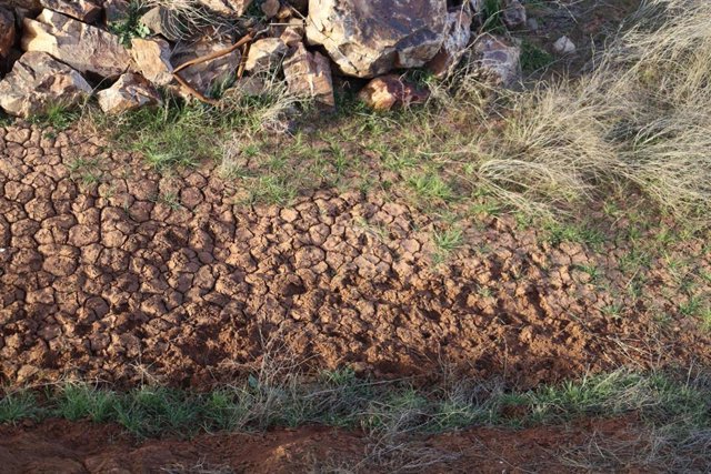 Evidencias de sequía en el Embalse de La Vega del Jabalón, a 10 de febrero de 2022, en Calzada de Calatrava, Ciudad Real, Castilla-La Mancha (España). 
