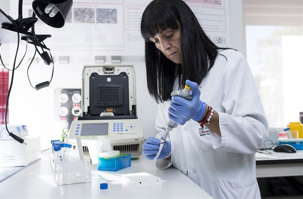 Archivo - La doctora Gema Moreno-Bueno, jefa del Laboratorio de Investigación Traslacional de la Fundación MD Anderson Cancer Center España, será la coordinadora del proyecto.