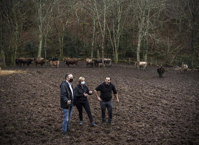 El consejero de Desarrollo Rural, Ganadería, Pesca, Alimentación y Medio Ambiente, Guillermo Blanco, visita una explotación ganadera participante en el Programa de Estancias Formativas de Jóvenes Agricultores en Explotaciones Modelo 'Cultiva'