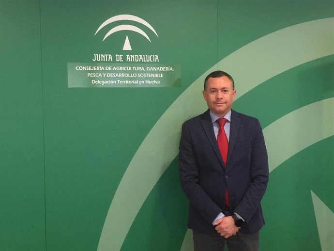 Archivo - El delegado de Desarrollo Sostenible de la Junta en Huelva, José Enrique Borrallo.