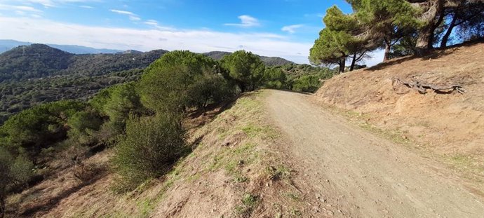 Archivo - El Parc Natural de la Serra de Collserola (Barcelona) acoge una prueba piloto apra la prevención de incendios forestales. - Archivo