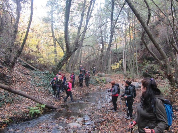 Imagen de una de las actividades del programa Conocimiento del Patrimonio de la Universidad Popular Municipal del Ayuntamiento de Jaén.