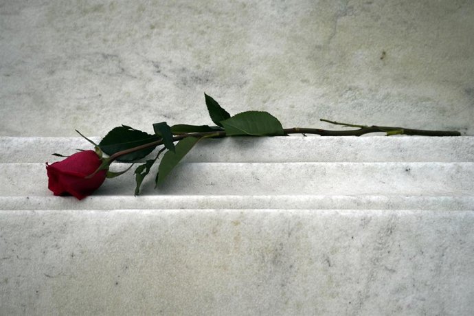 Archivo - Rosa en una imagen de archivo