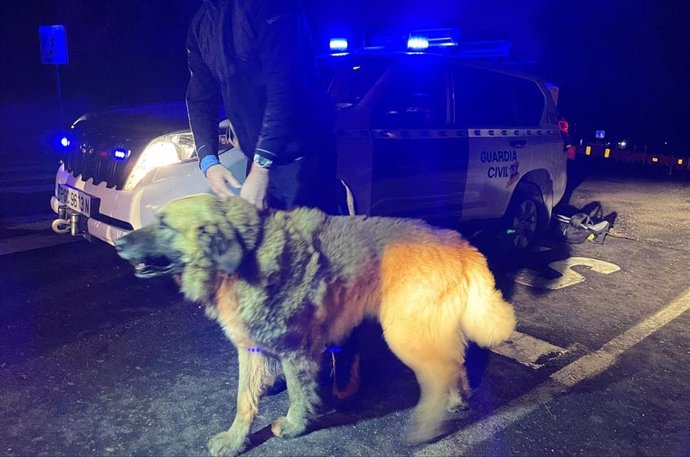Siete jóvenes y un perro tuvieron que ser rescatados tras quedarse atrapados en un precipicio con hielo en La Pedriza