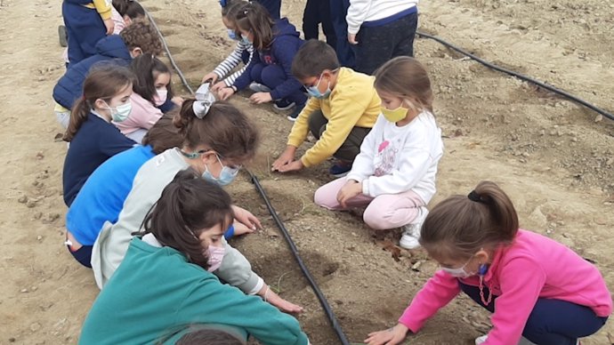 Imagen de escolares participando en el I Concurso Anual 'Prevención, Reciclaje y Reutilización de residuos en la provincia de Huelva' de la Diputación.