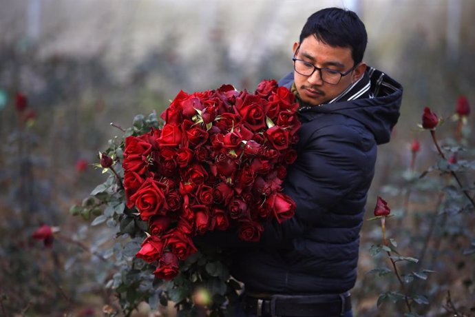 Archivo - Un trabajador recoge flores para su venta.