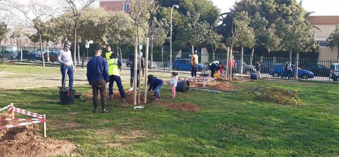 Unas 80 personas siembran árboles en el parque de Ses Sorts, en Palma.