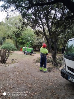 Imagen de los trabajas en el Parque del Botánico en Jaén.