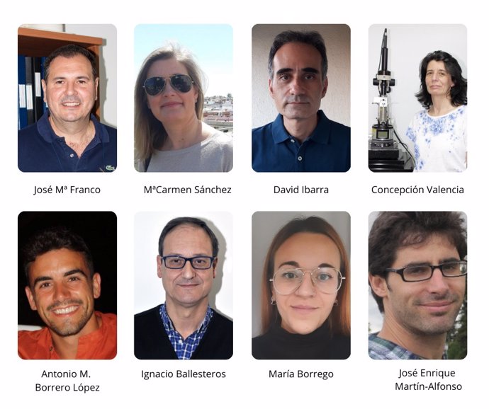 Equipo de investigación de la Universidad de Huelva (UHU).