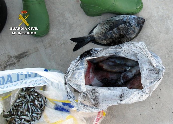 La Guardia Civil interviene cinco kilos de pescado que no respetaba las tallas mínimas