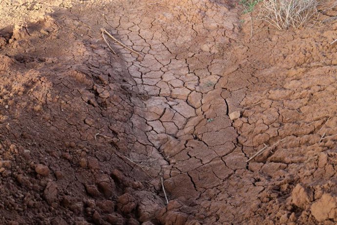 Evidencias de sequía (archivo)