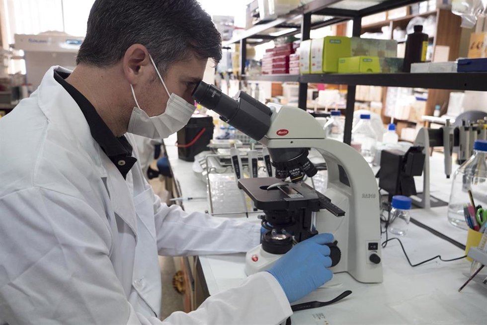 Archivo - Un investigador del Departamento de Biología Celular, Genética y Fisiología de la Universidad de Málaga