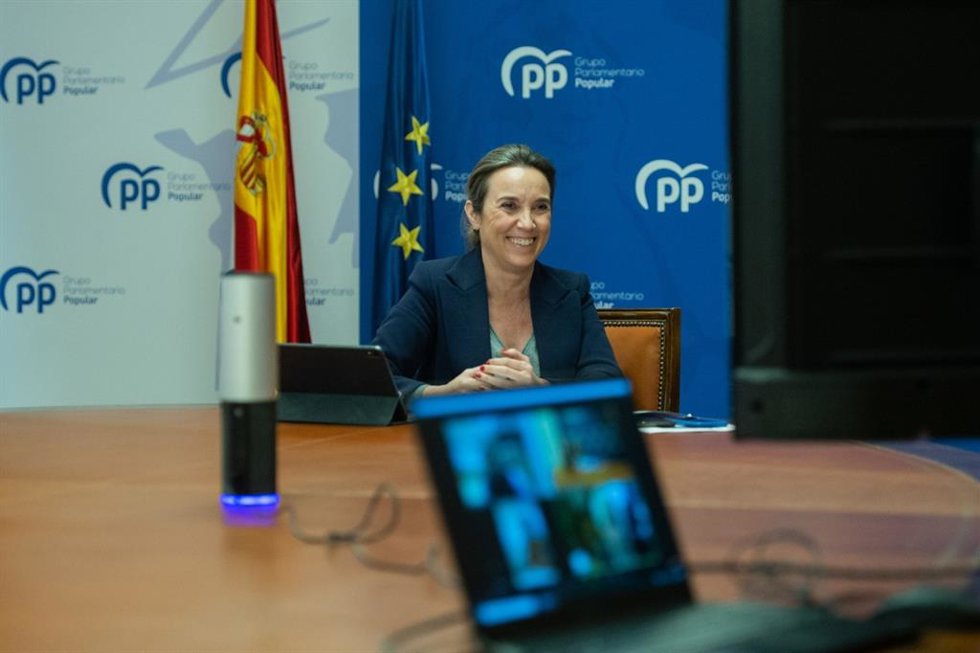La portavoz del Grupo Parlamentario Popular, Cuca Gamarra, en la reunión telemática con el sector del vino