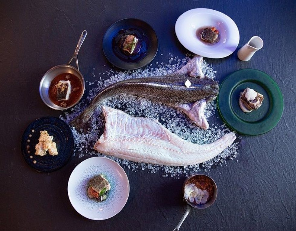 El Skrei "desembarca en España