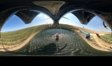 Comunicados Internacional