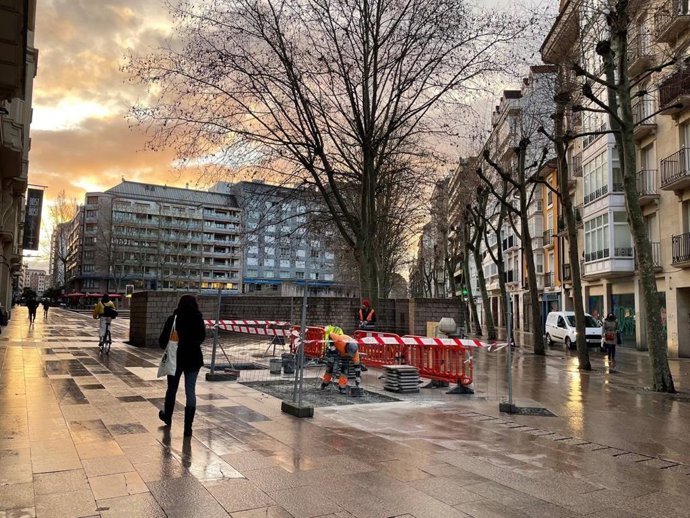 El Ayuntamiento de Vitoria-Gasteiz cambia de ubicación el retoño del árbol de Gernika de la plaza de los Fueros