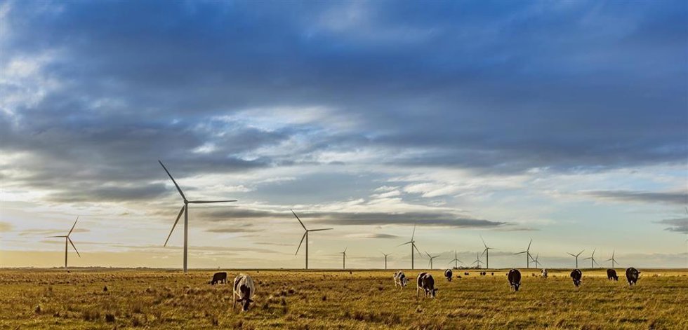 Archivo - Instalaciones eólicas de Acciona en Australia