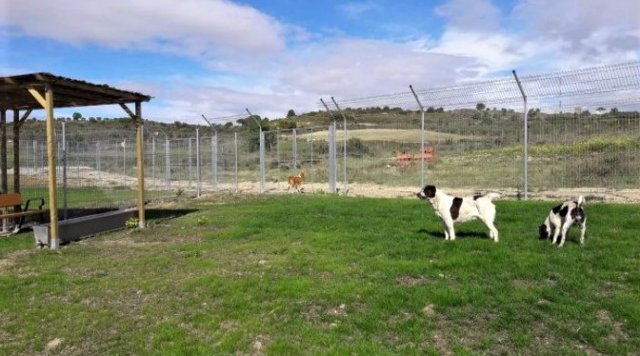 Zona de esparcimiento canino en el Centro de Acogida de Animales de Logroño