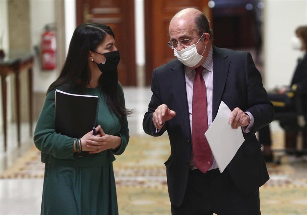 Archivo - La secretaria general del grupo de Vox en el Congreso, Macarena Olona, y el vicepresidente cuarto de la Mesa de la Cámara y diputado de Vox, Ignacio Gil Lázaro.