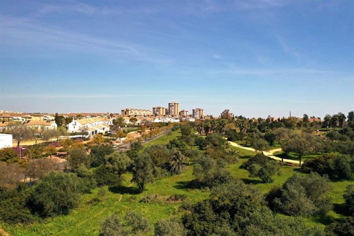 Archivo - Vista panorámica del parque Porzuna, que acoge los huertos sociales de Mairena